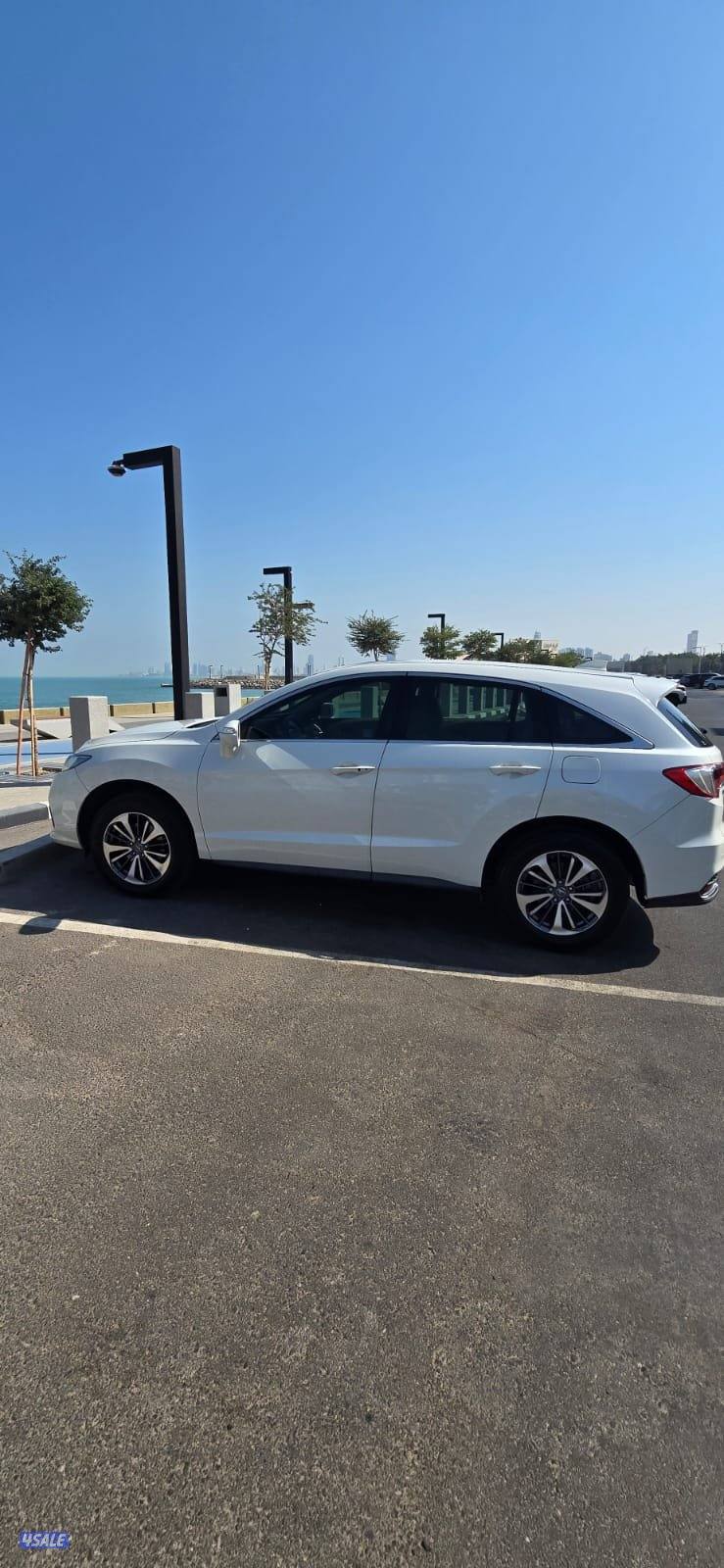 2016 صبغ المصنع وبحالة الوكالة5