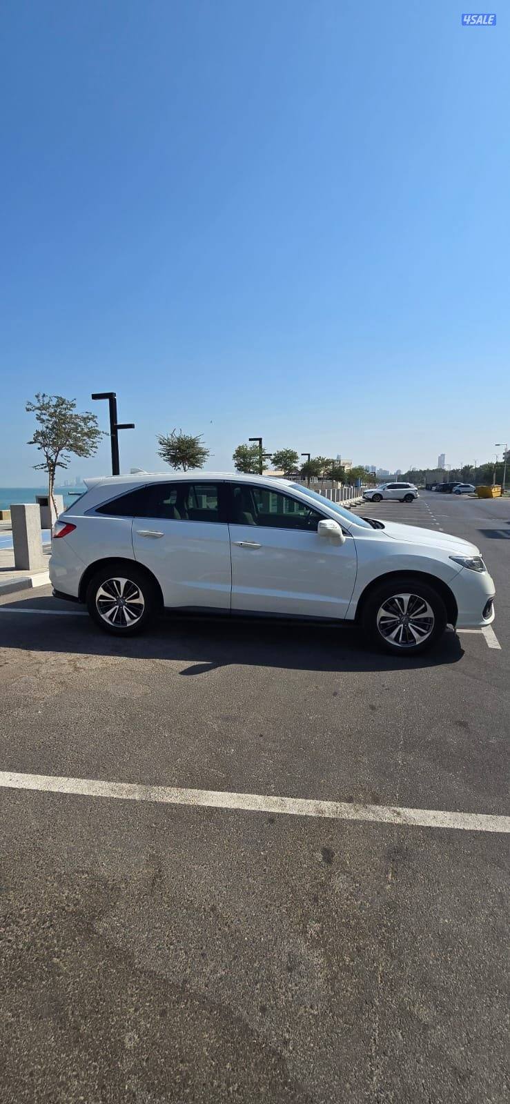 2016 صبغ المصنع وبحالة الوكالة6