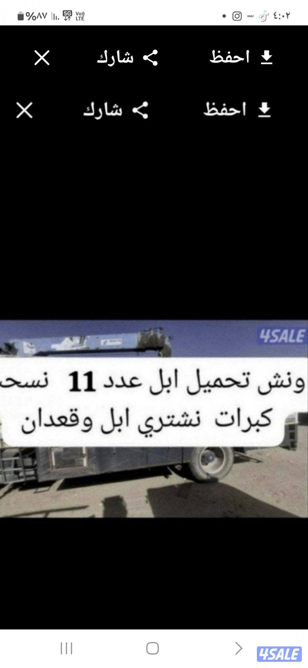نشتري ابل وحشوونش تحمل بل العدد120