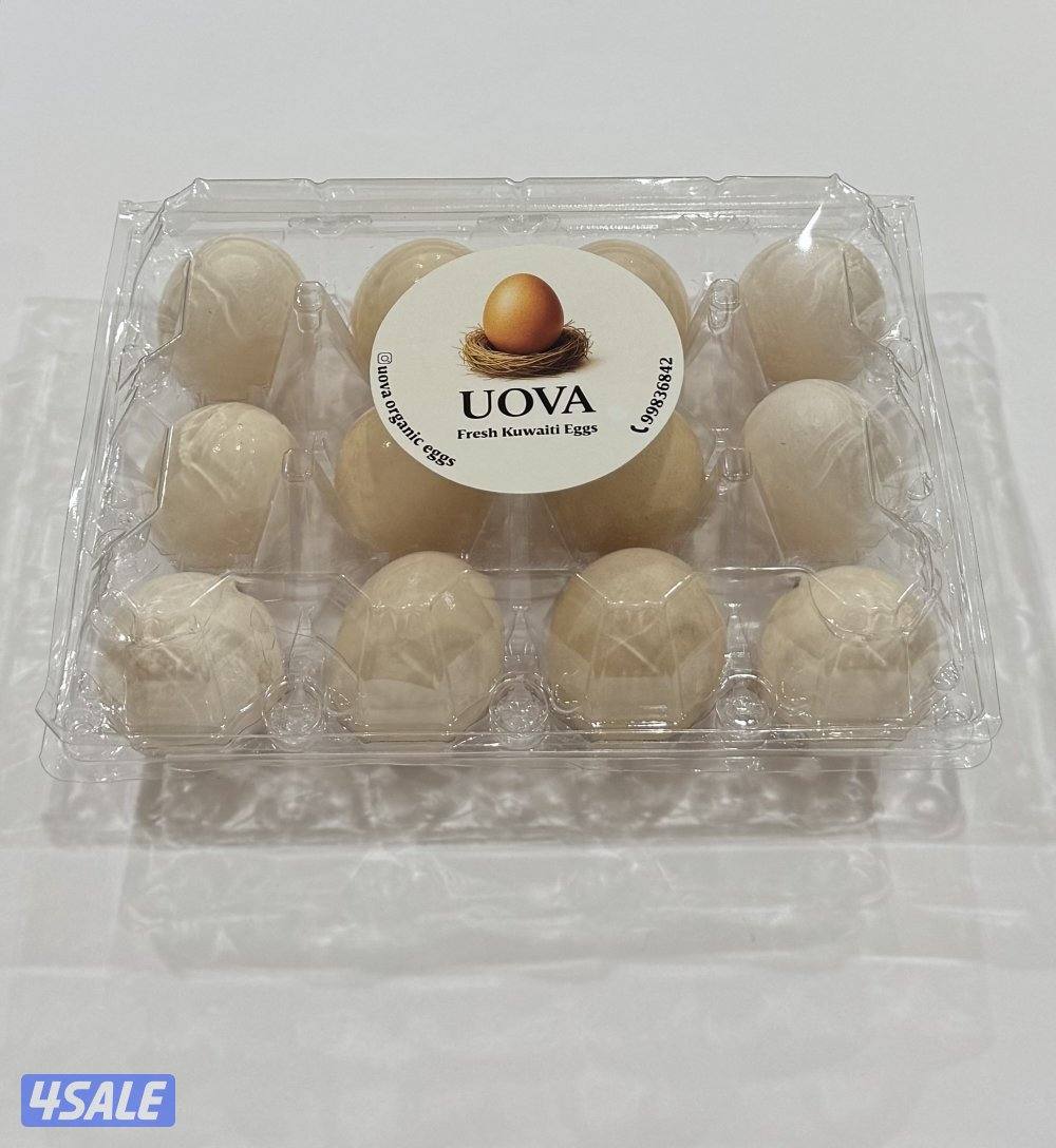 بيض طبيعي ( عضوي ) من uova0