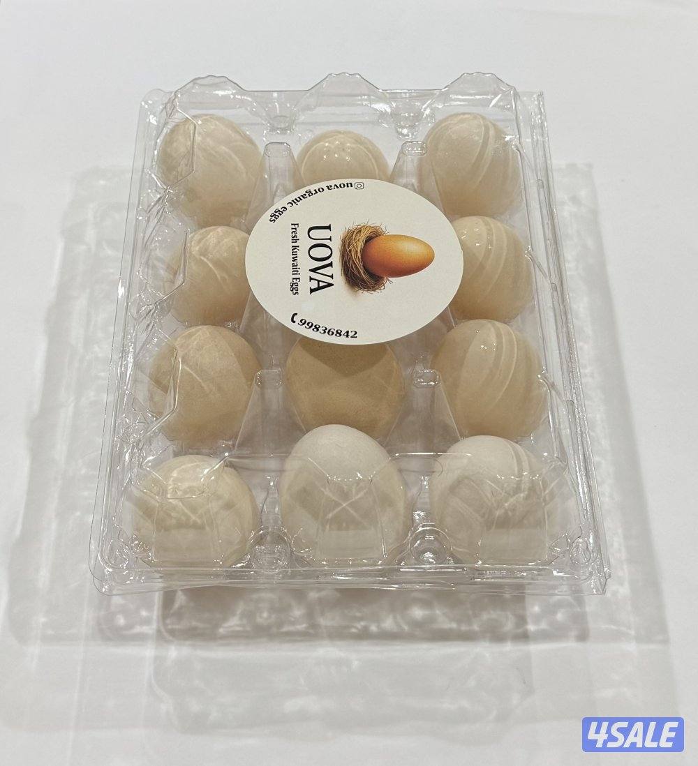 بيض طبيعي ( عضوي ) من uova5