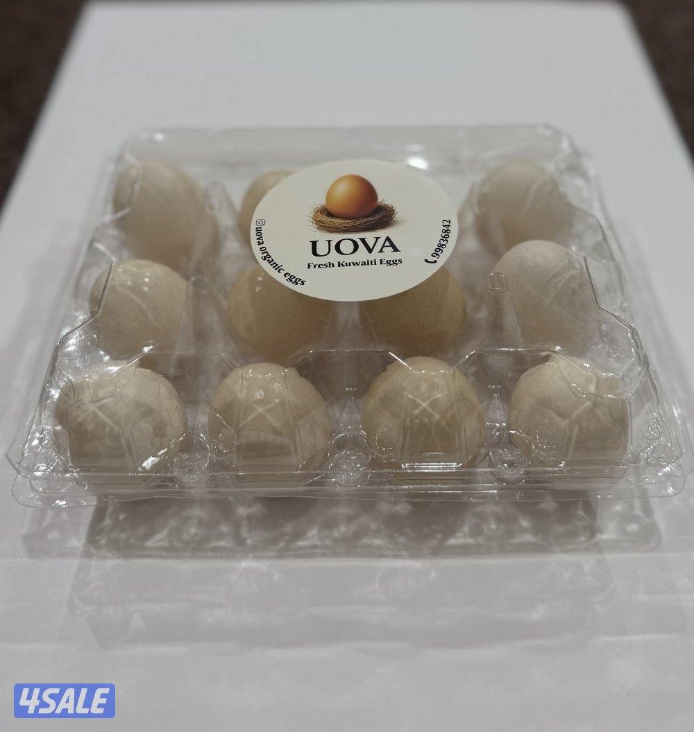 بيض طبيعي ( عضوي ) من uova4