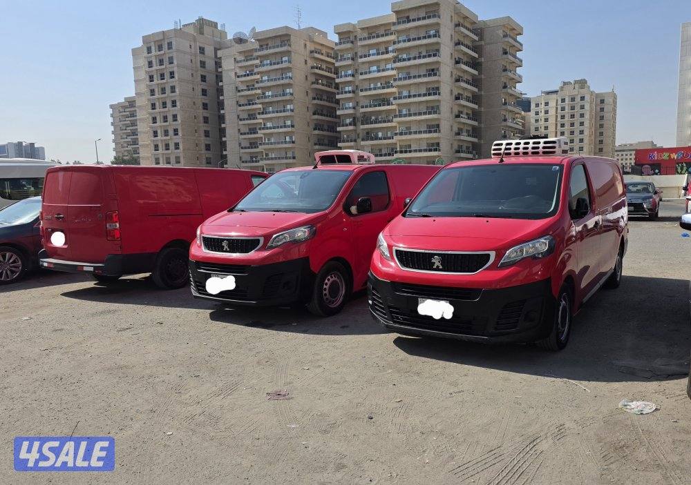 اكسبيرت 20220