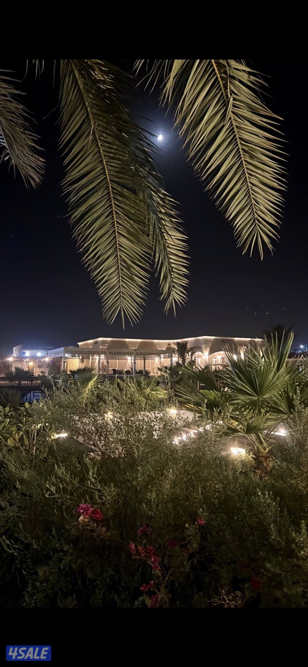 مزرعه للإيجار VIP طريق 800 قطعه 10 جديده ونظيفه2