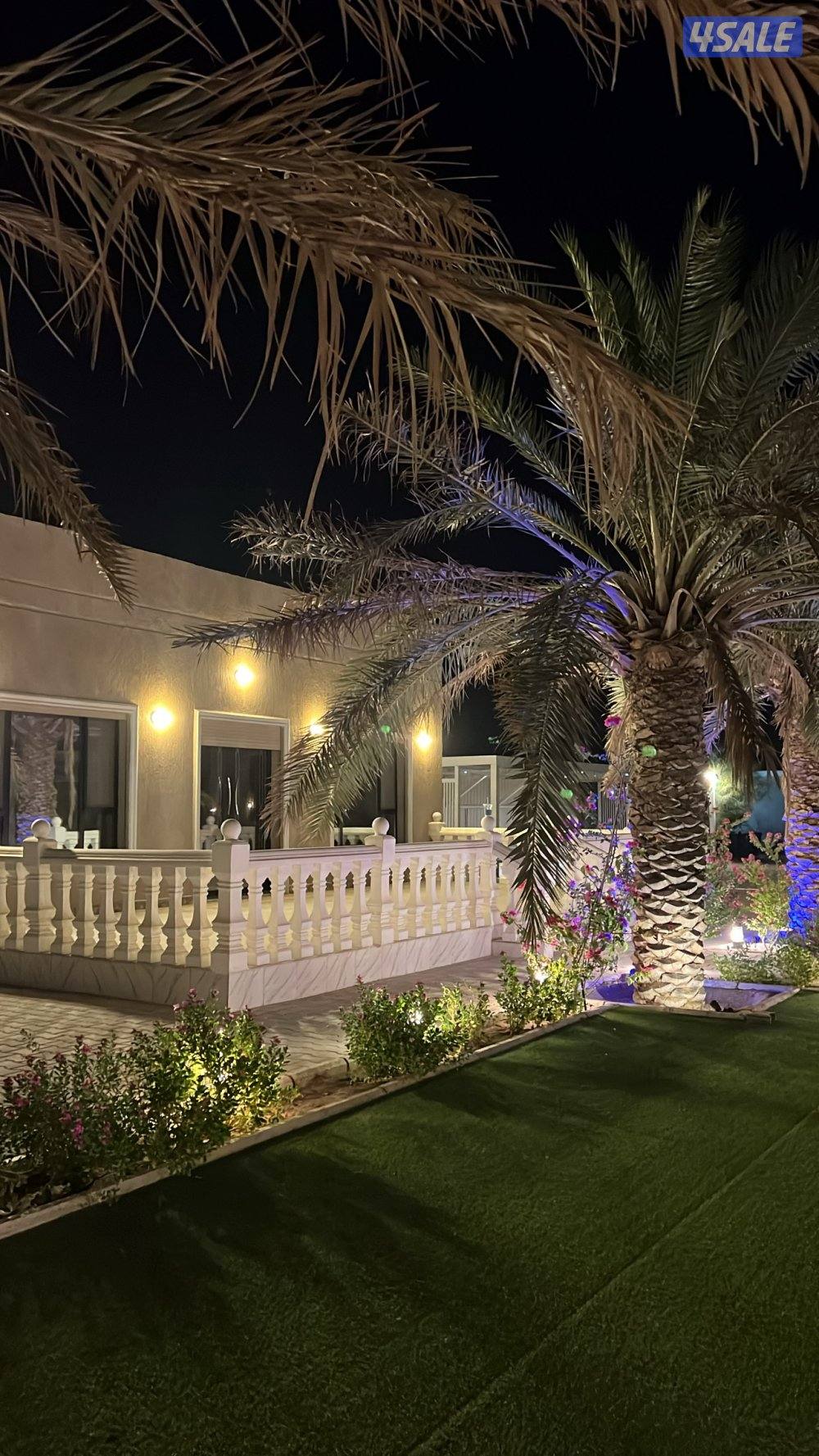 مزرعه للإيجار VIP طريق 800 قطعه 10 جديده ونظيفه6