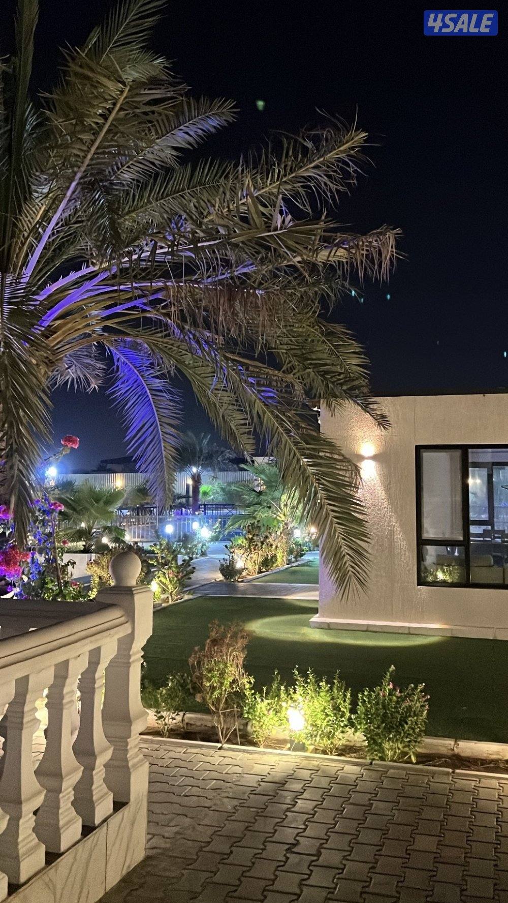 مزرعه للإيجار VIP طريق 800 قطعه 10 جديده ونظيفه7