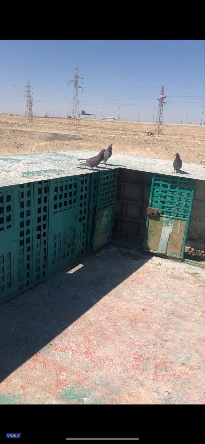 للبيع برج حمام ١٣ خانه مفتاح 🔑 واحد ماستر حديد و ارضية حديد ملبس خشب0