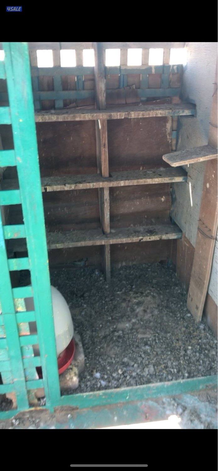 للبيع برج حمام ١٣ خانه مفتاح 🔑 واحد ماستر حديد و ارضية حديد ملبس خشب2