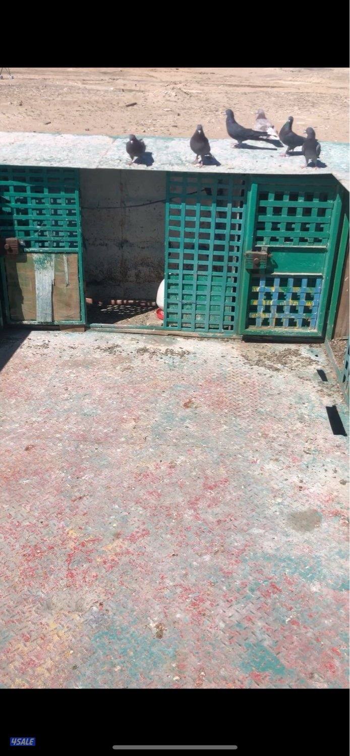 للبيع برج حمام ١٣ خانه مفتاح 🔑 واحد ماستر حديد و ارضية حديد ملبس خشب1