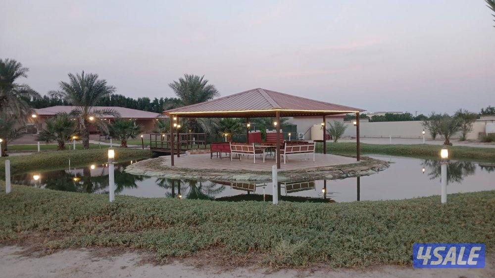 للإيجار اليومي مزارع في الوفرة للعائلات1