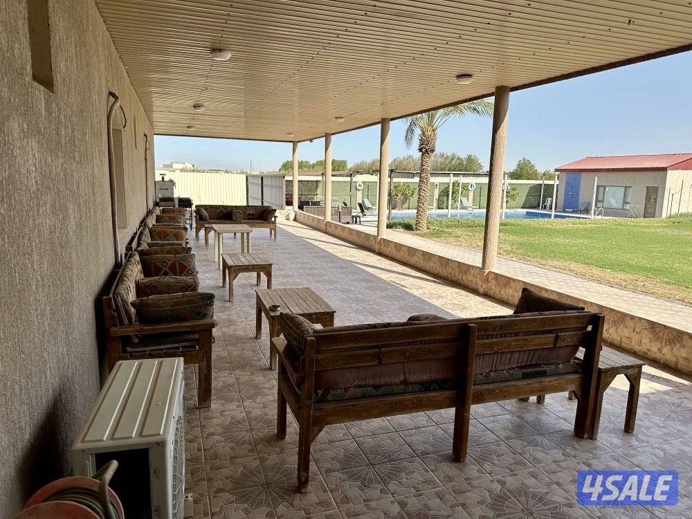 للإيجار اليومي مزارع في الوفرة للعائلات7