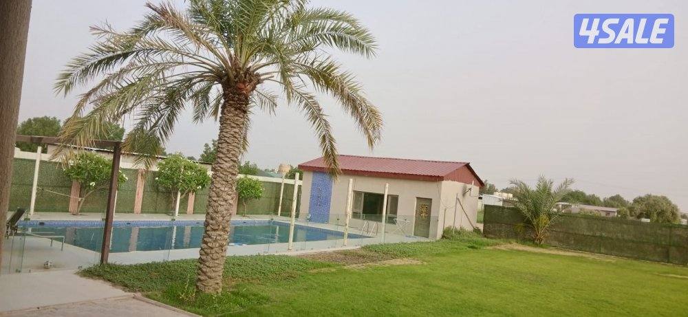 للإيجار اليومي مزارع في الوفرة للعائلات10