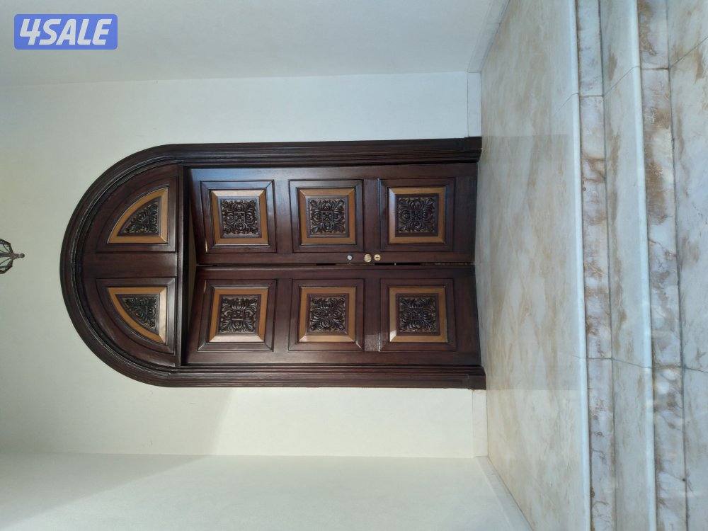 صباغ باكستاني2