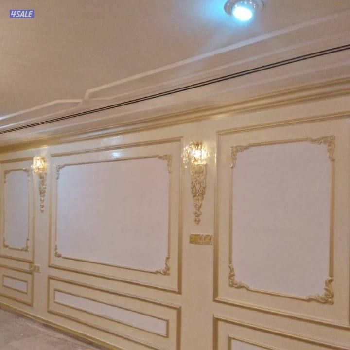 صباغ باكستاني1