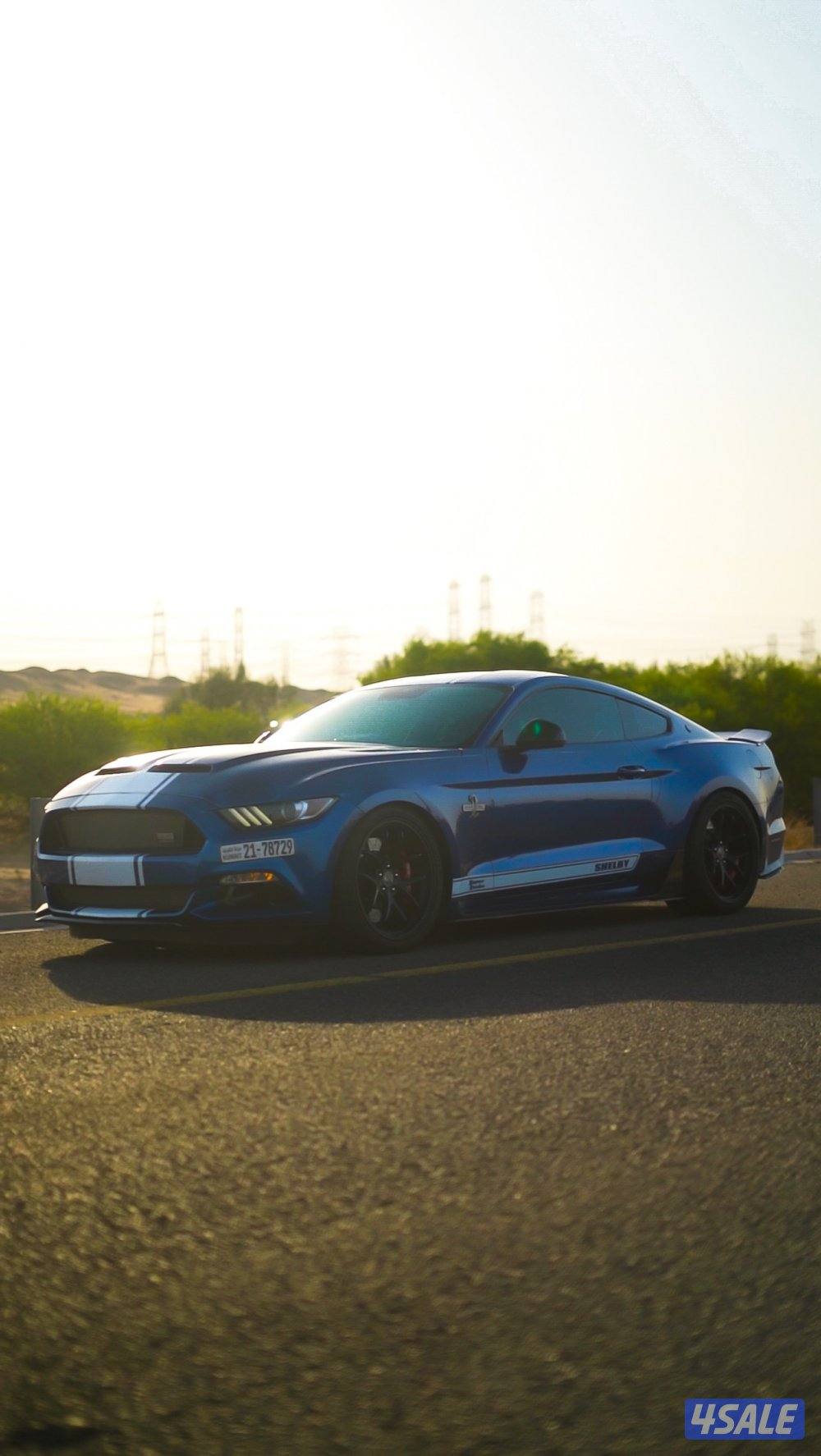 شيلبي سوبر سنيك0