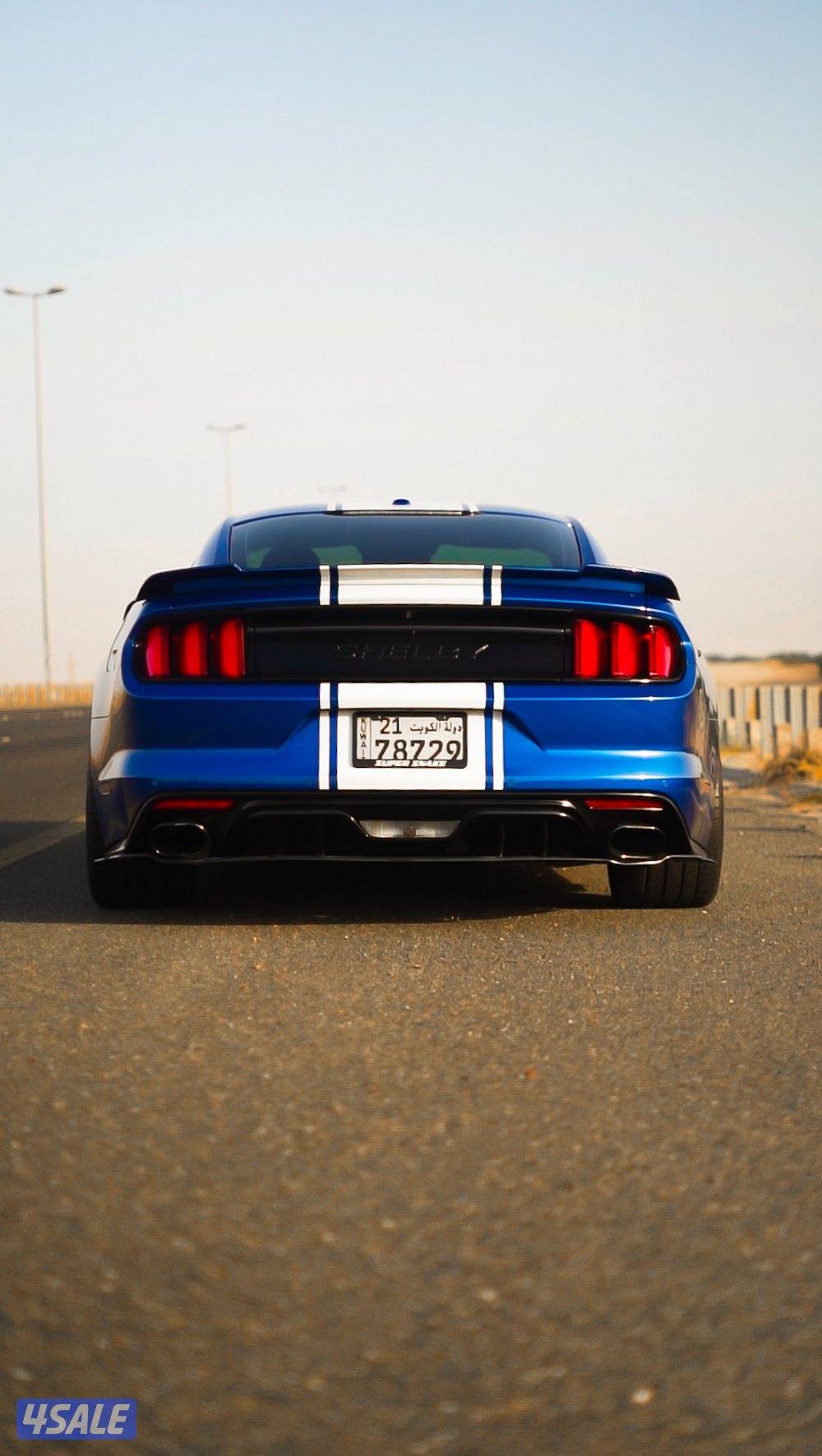 شيلبي سوبر سنيك1