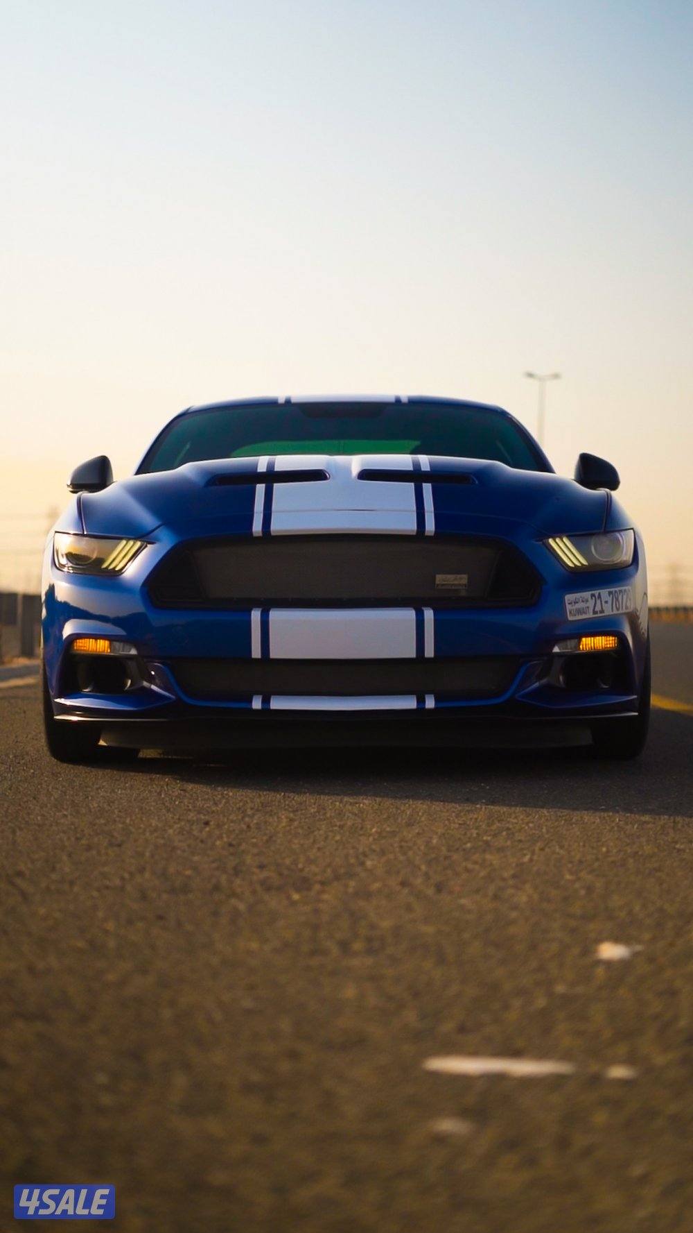 شيلبي سوبر سنيك2