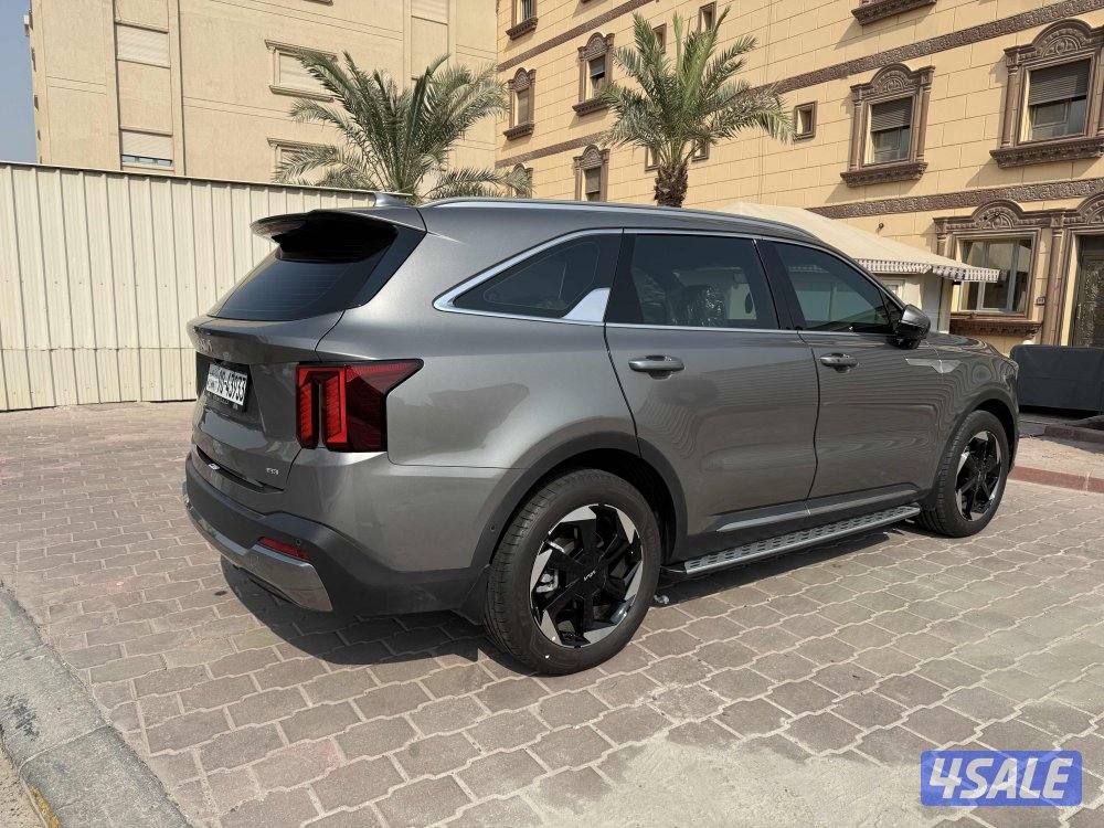 سورينتو أعلى درجة بالوكالة 20253