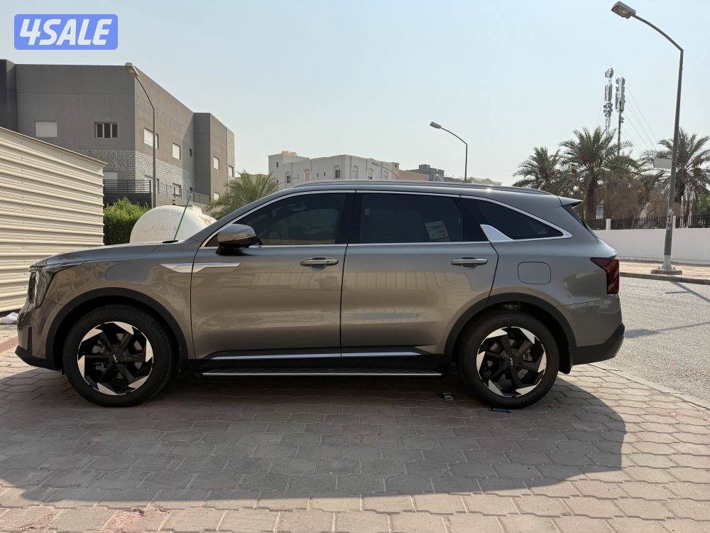 سورينتو أعلى درجة بالوكالة 20256