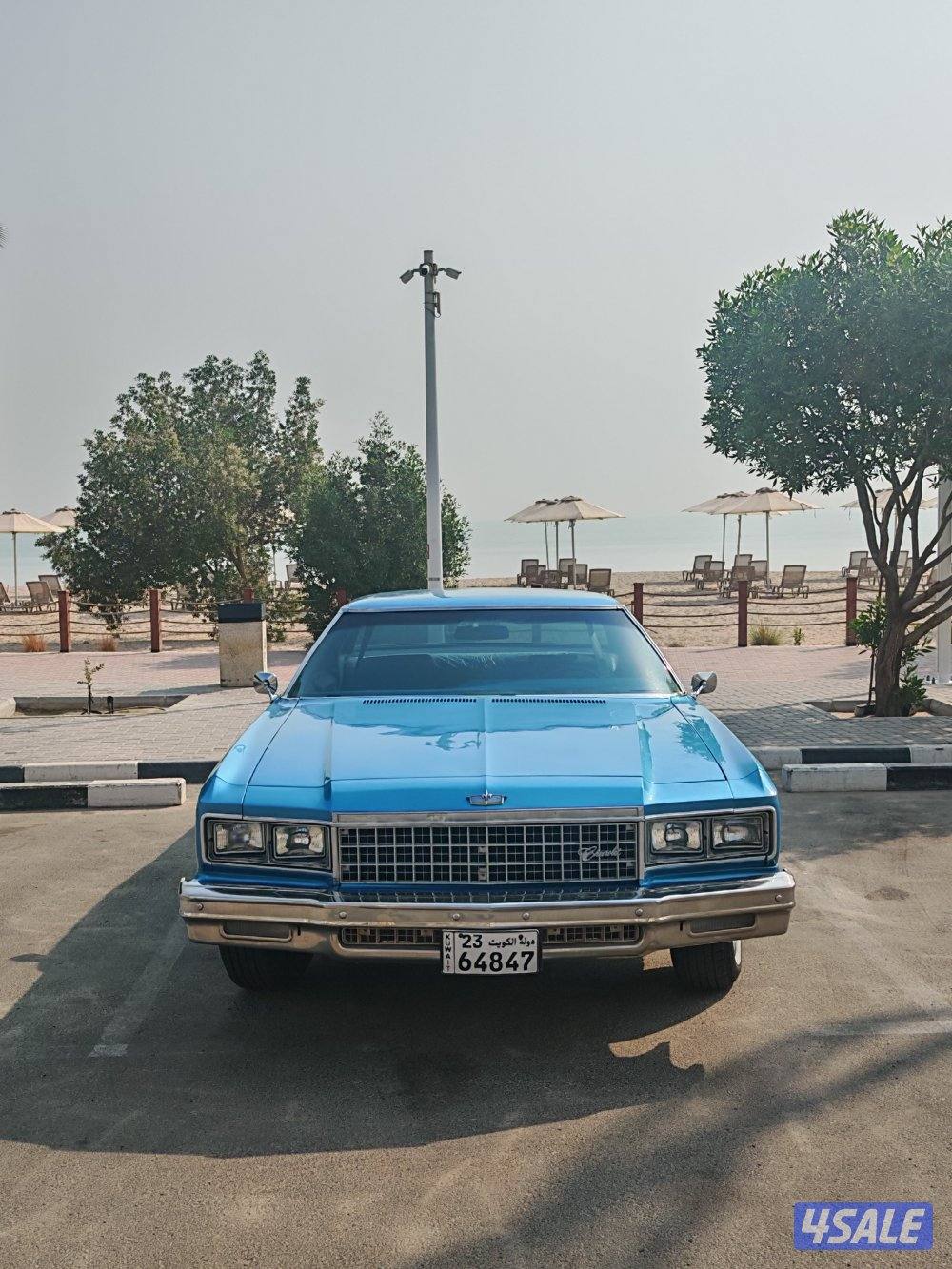 شفر كابريس 19761