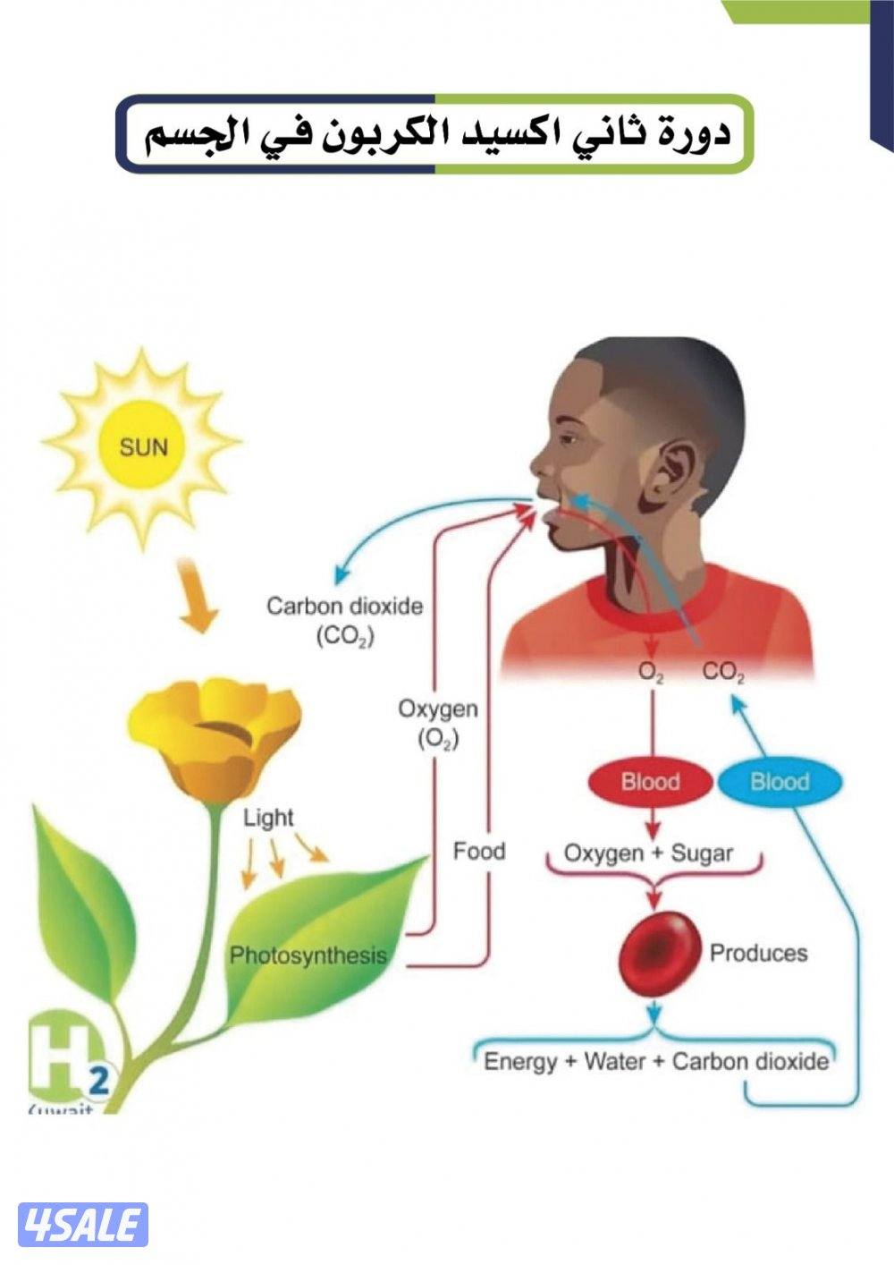 الضجيج  مجمع علياء التجاري10