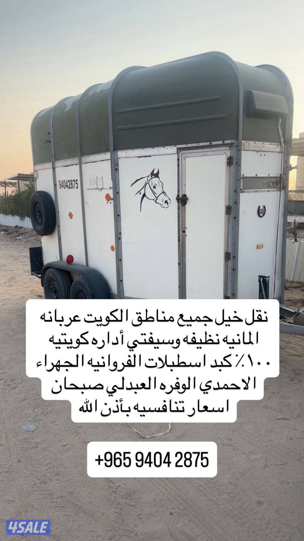 نقل  خيل  جميع مناطق الكويت0