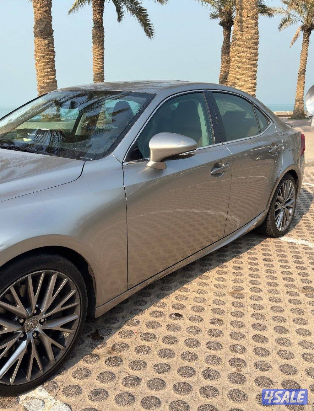 سالميه قطعه ١١1