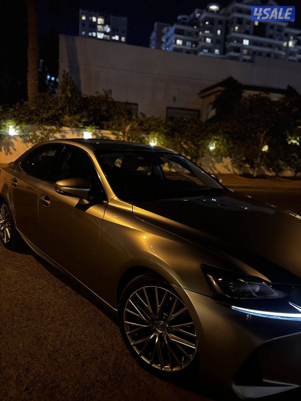 سالميه قطعه ١١7