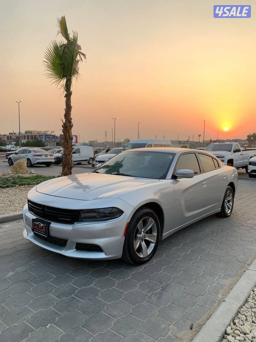 النشاما لبيع وشراء دوج تشارجر4