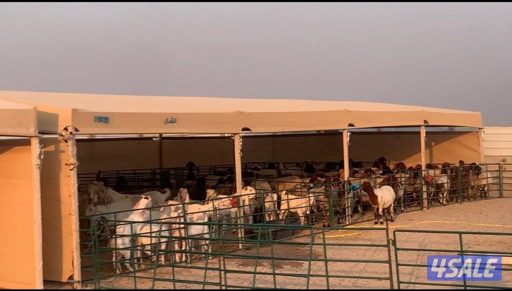 توصيل وتركيب جميع مناطق الكويت14