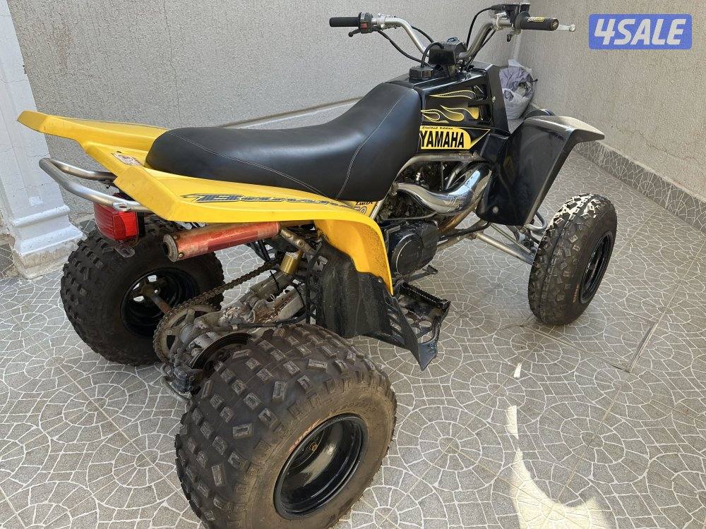 للبيع بانشي 20090