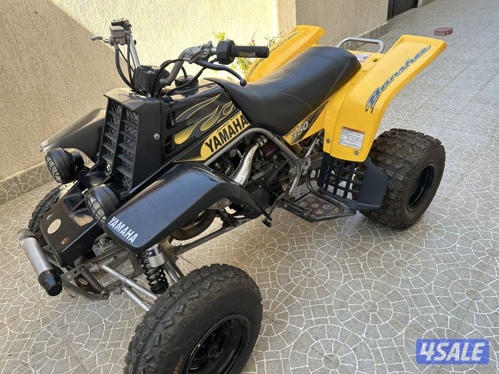 للبيع بانشي 20091