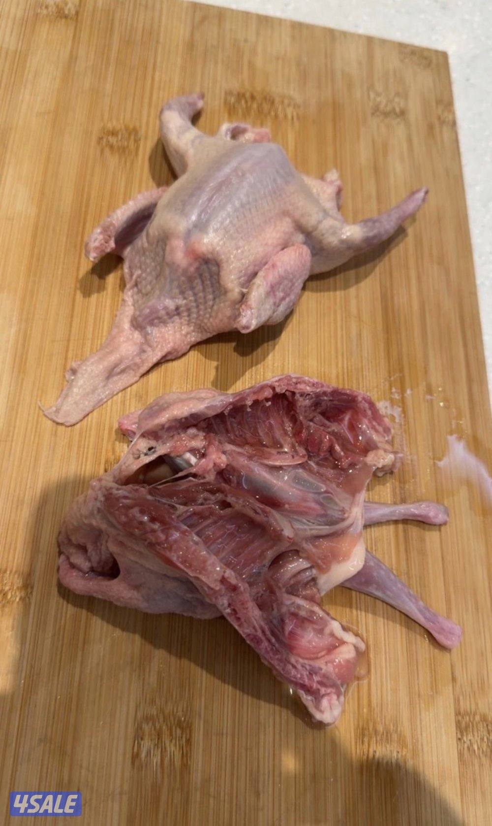 فروخ حمام خصوصي + بط شرط السمنه والشحم1