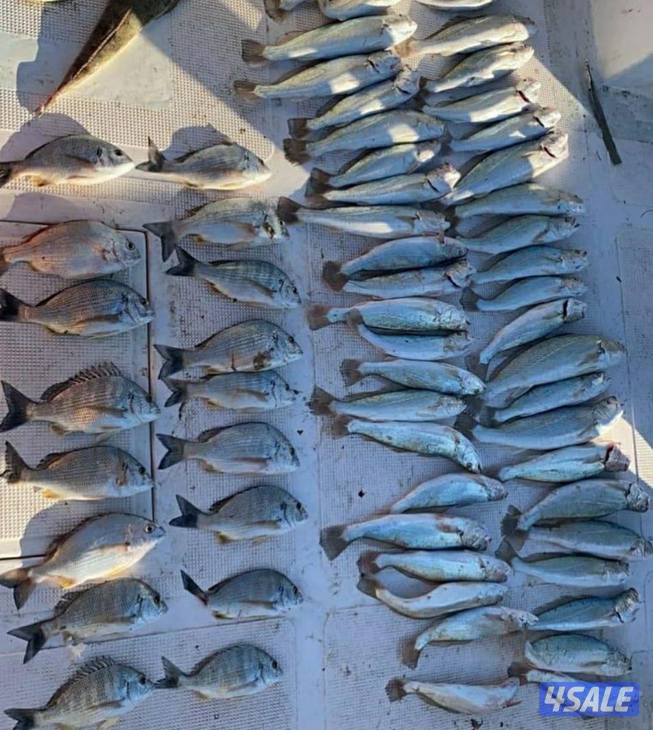 للإيجار رحلات حداق وتوصيل فيلكا5