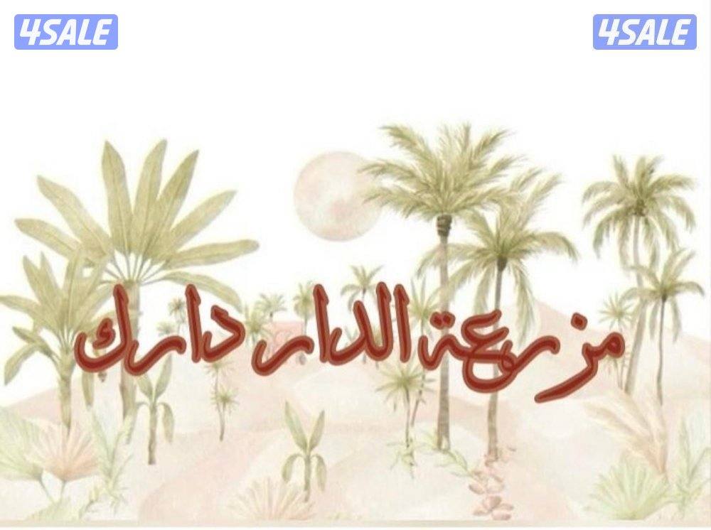 العبدلي قطّعه ٦  ( ٧ غرف  ٣ حمامات  للتواصل وتس اب اجار يومي فقط )0