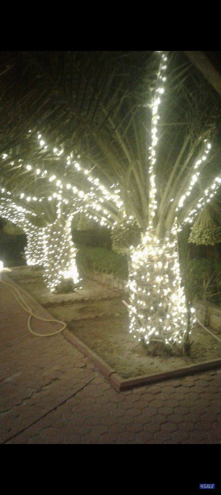 تأجير زينه عراس كراسي كوش كنفات زوالي10