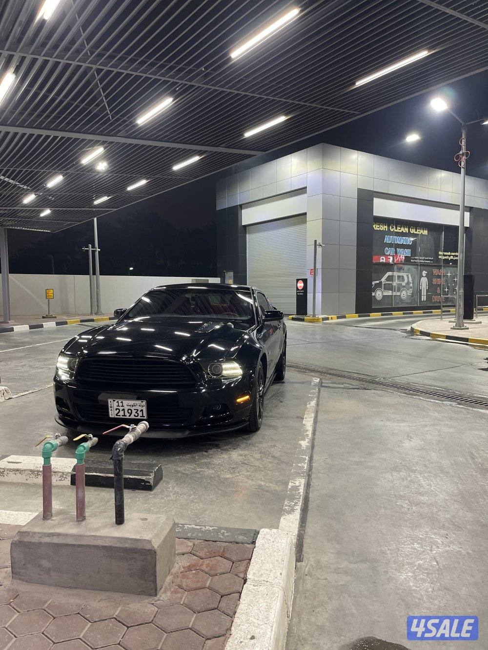 موستنق قير عادي0