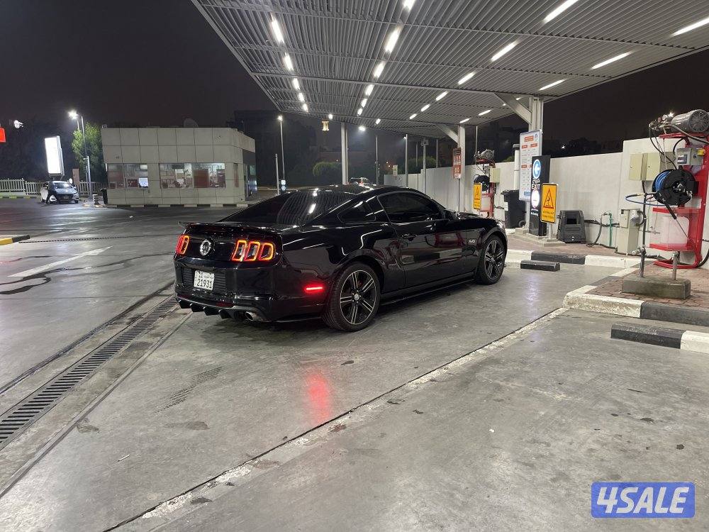 موستنق قير عادي6