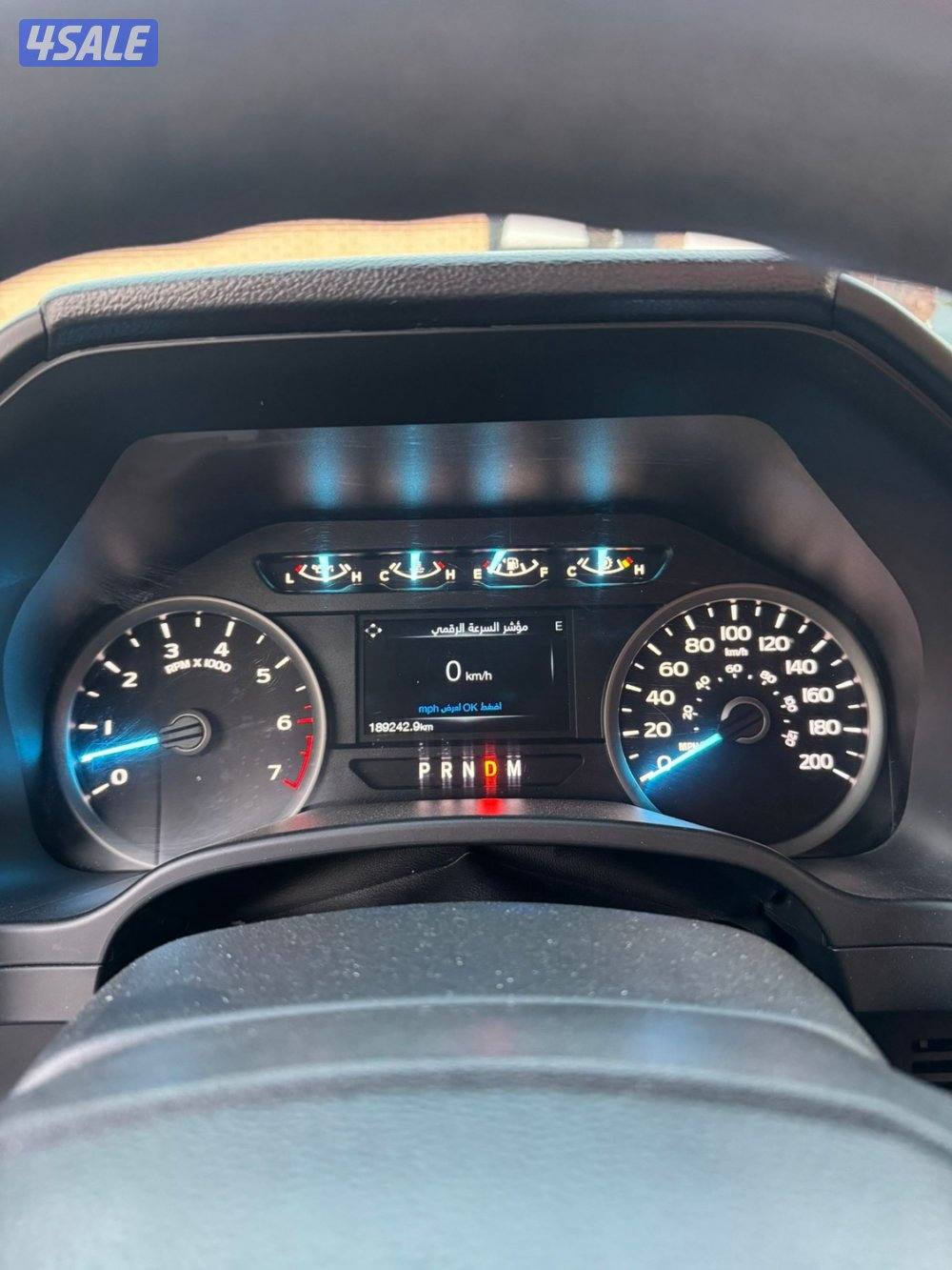 وانيت فورد6