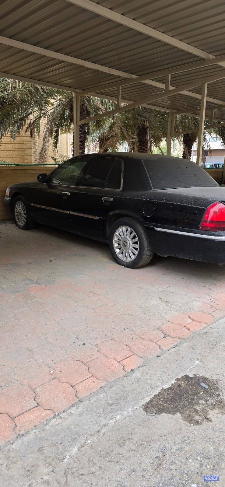 على المنظور1