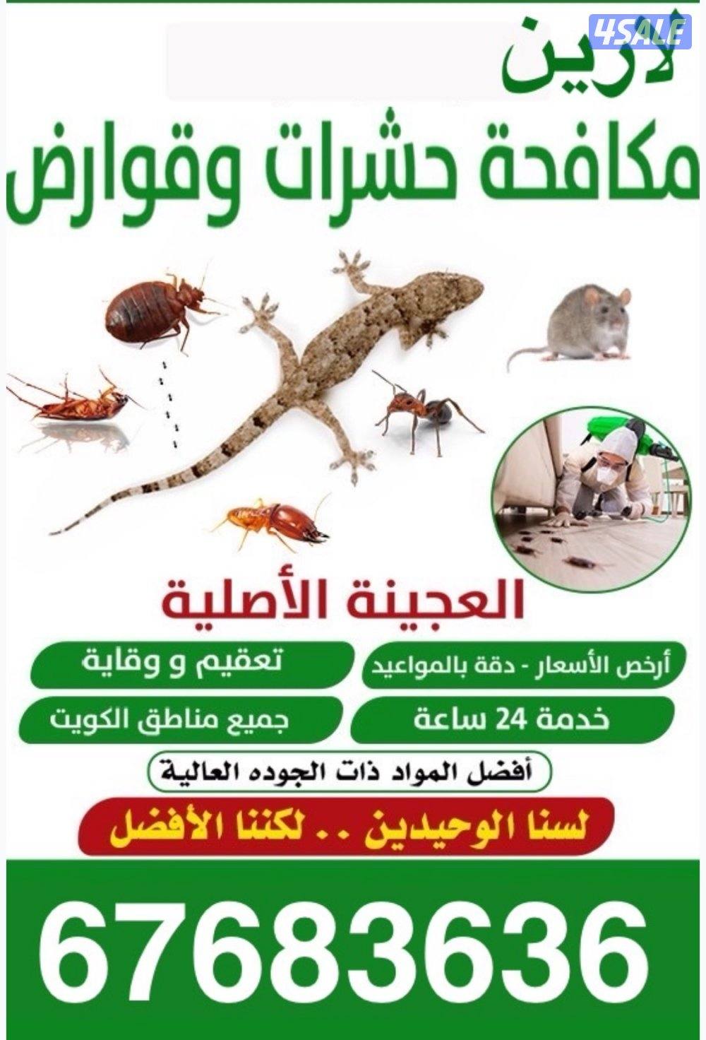 @مكافحة@حشرات@مكافحة@حشرات@مكافحة@حشرات@مكافحة@حشرات@0