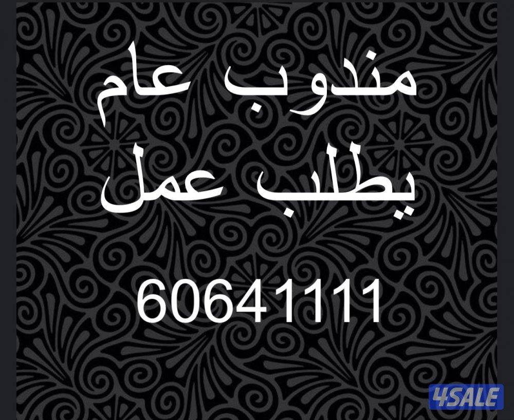 مندوب عام خبره0