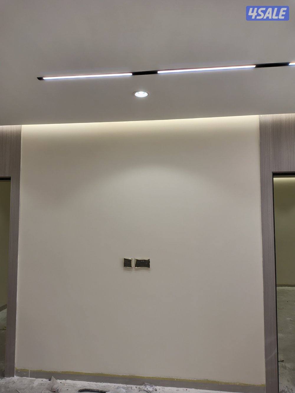 اصباغ باکستانى2