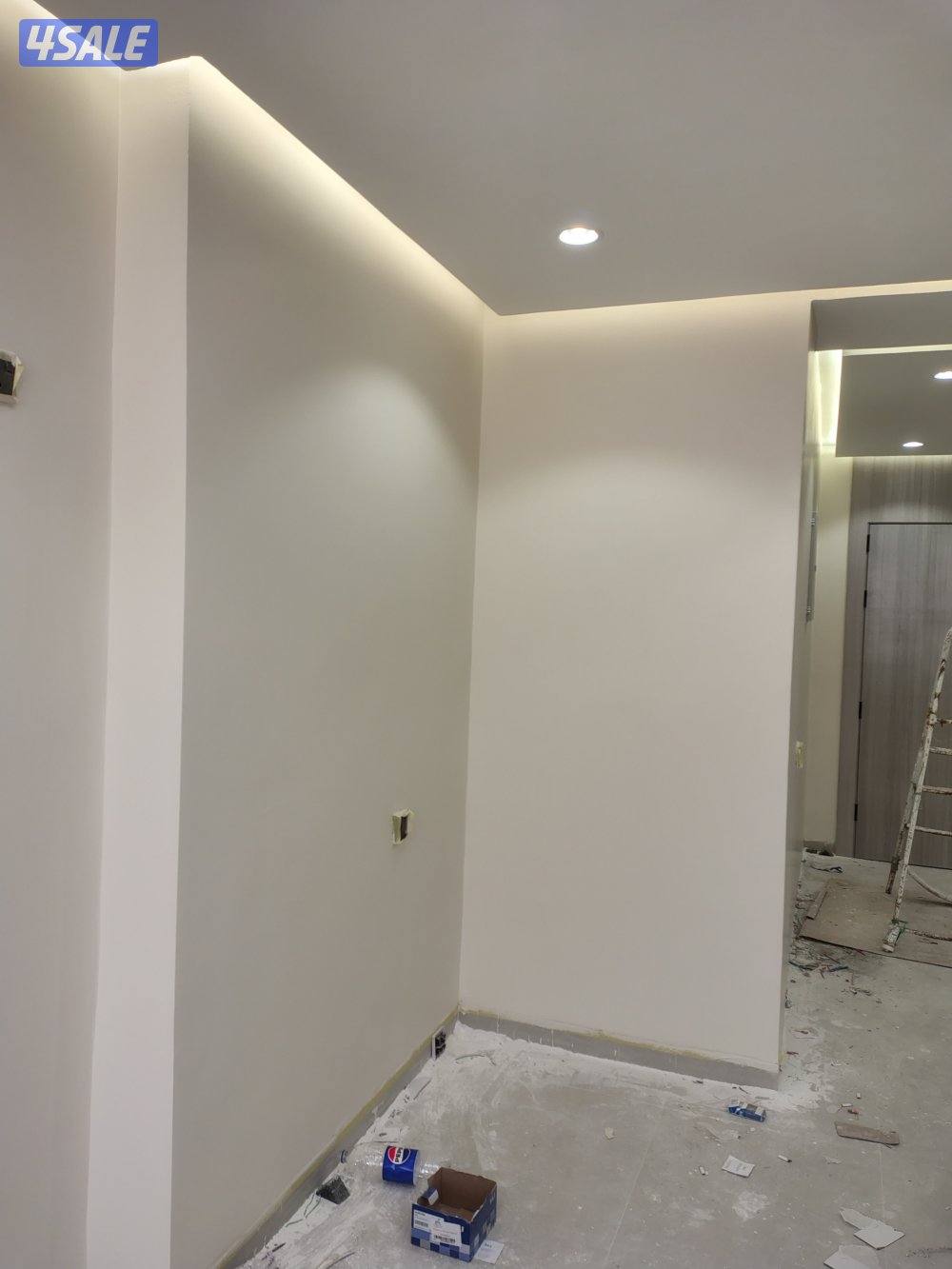 اصباغ باکستانى3