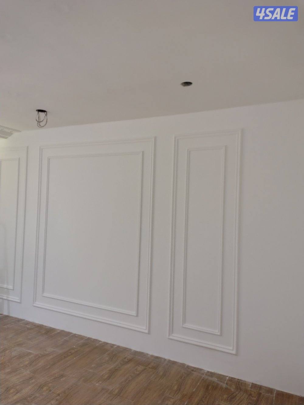 اصباغ باکستانى4