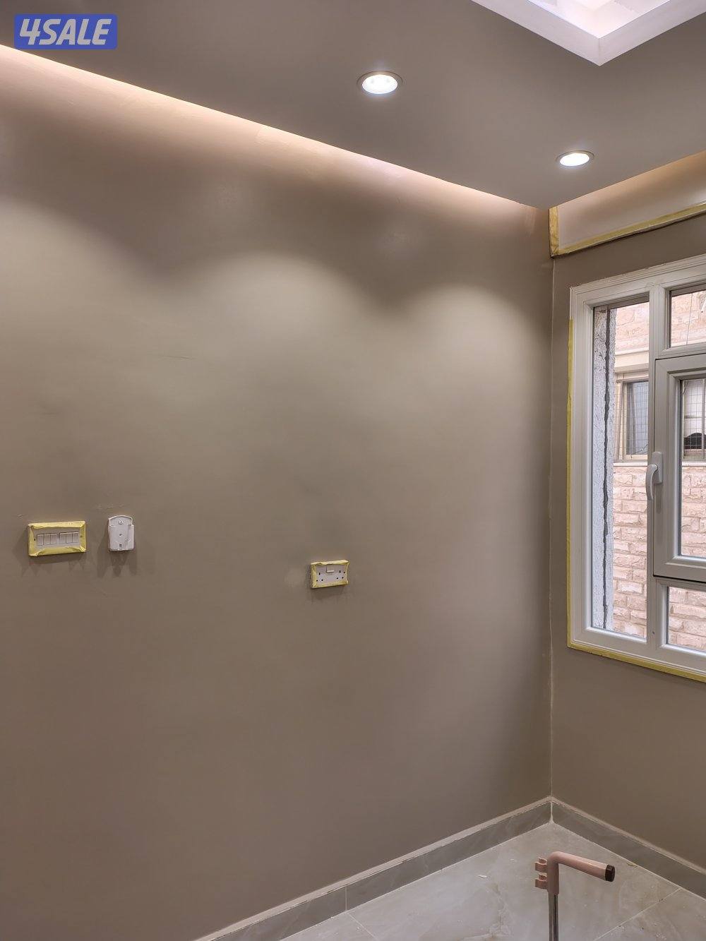 اصباغ باکستانى5