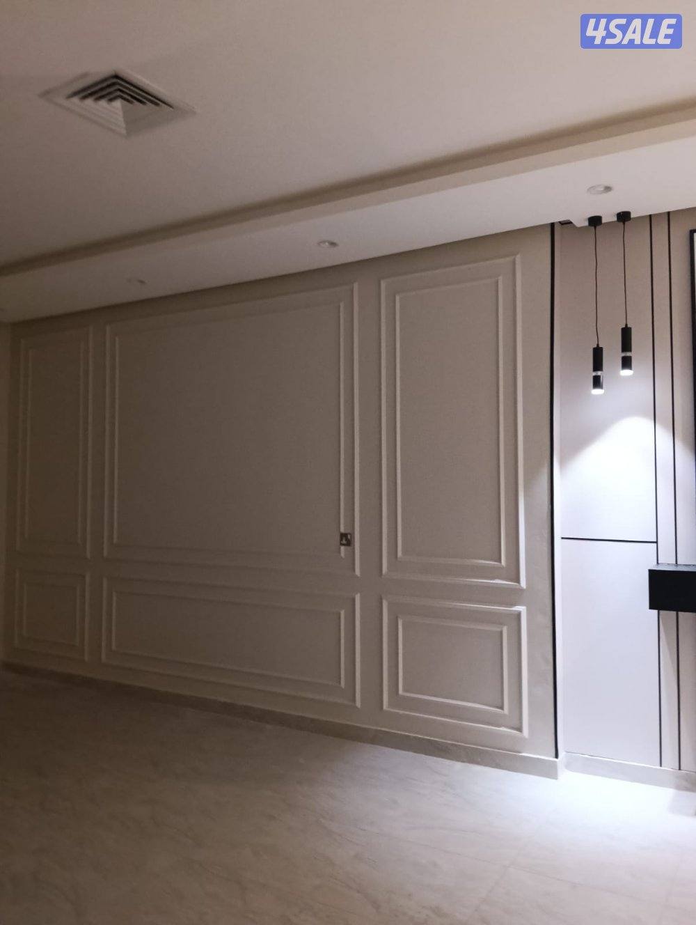 اصباغ باکستانى7