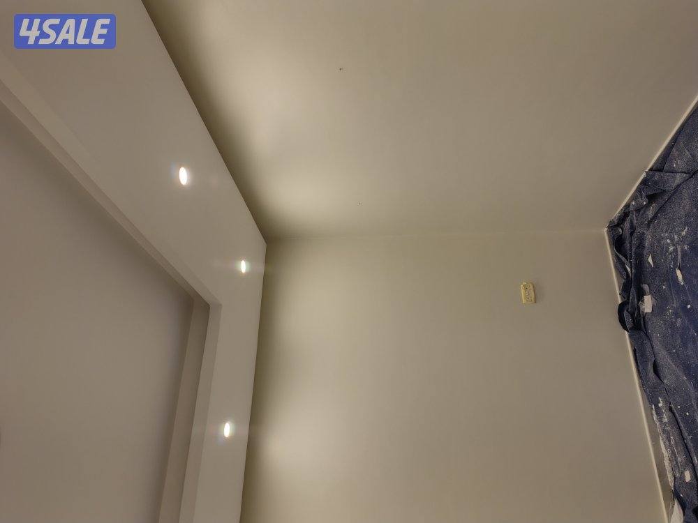 اصباغ باکستانى8