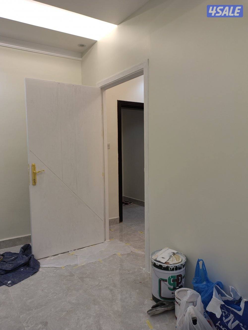 اصباغ باکستانى9