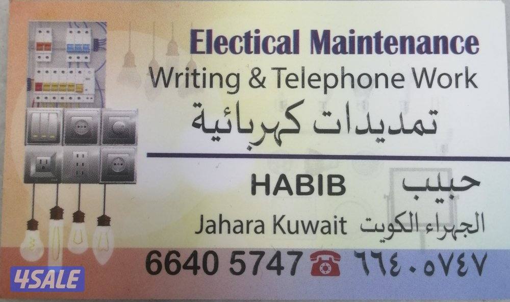 professional electrician0